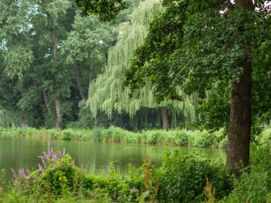 Westphalia 'da küçük bir göl