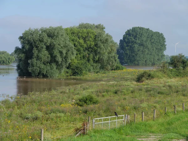 Bord Rhin Près Bislich Allemagne — Photo