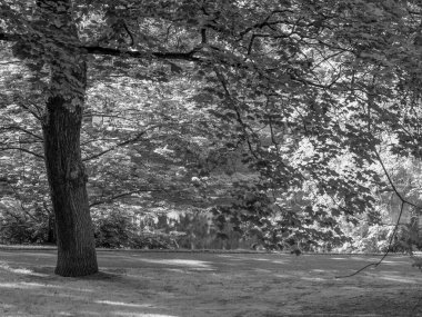 Weser nehrindeki Bremen şehri