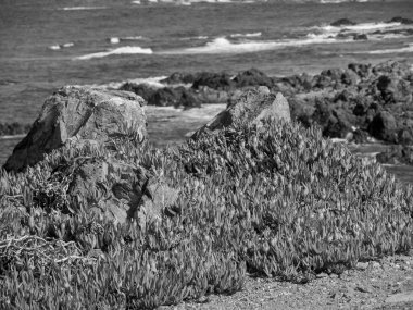 Akdeniz 'deki Korsika Adası