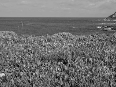 Akdeniz 'deki Korsika Adası