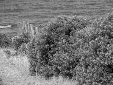 Akdeniz 'deki Korsika Adası