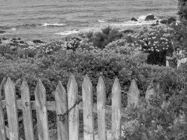 Akdeniz 'deki Korsika Adası