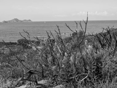 Akdeniz 'deki Korsika Adası