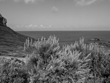 Akdeniz 'deki Korsika Adası