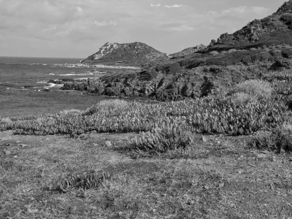 Île Corse Dans Mer Méditerranée — Photo