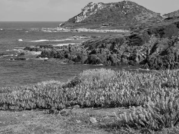 Isola Corsica Nel Mar Mediterraneo — Foto Stock