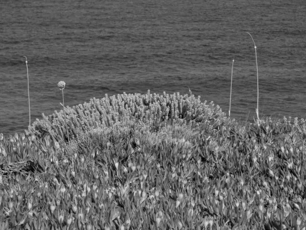 Ilha Córsega Mar Mediterrâneo — Fotografia de Stock