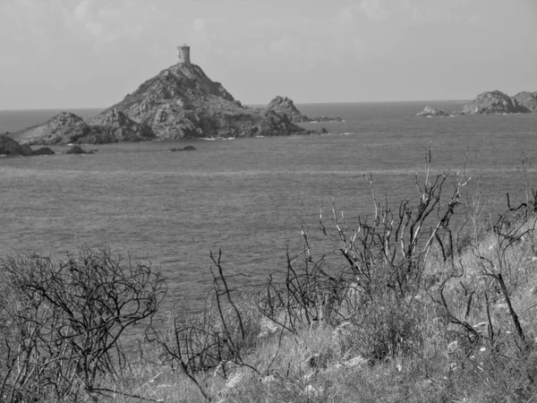 Isola Corsica Nel Mar Mediterraneo — Foto Stock