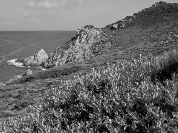 Isola Corsica Francia — Foto Stock