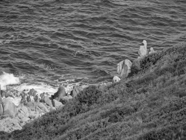 Corsica Eiland Frankrijk — Stockfoto