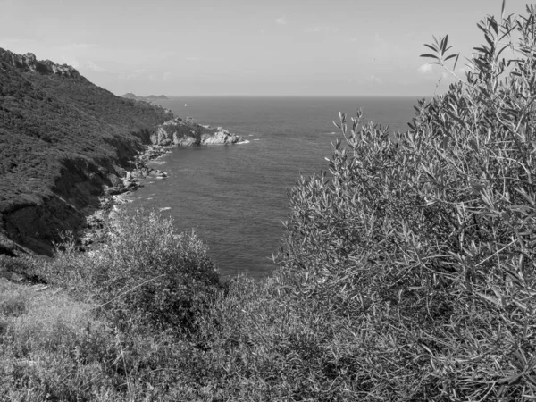 Corsica Island Στη Γαλλία — Φωτογραφία Αρχείου