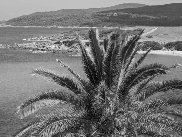 Corsica Island France — Stock Photo, Image