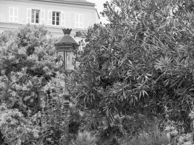 Akdeniz 'deki Korsika Adası.