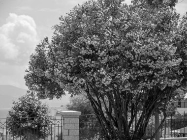 Akdeniz 'deki Korsika Adası.