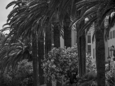 Akdeniz 'deki Korsika Adası.