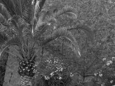 Akdeniz 'deki Korsika Adası.