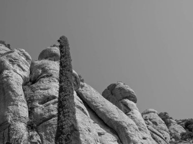 İspanya 'daki Montserrat Manastırı.