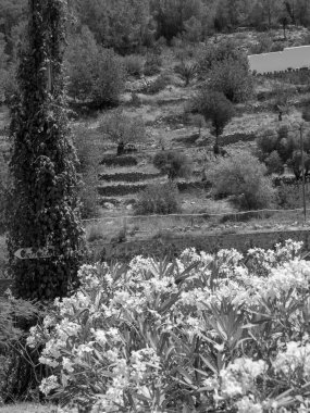 Hollanda 'daki Haarlem şehri.