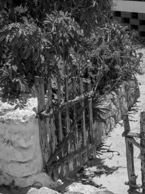 Hollanda 'daki Haarlem şehri.