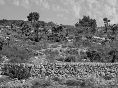 İspanya 'nın İbiza adası