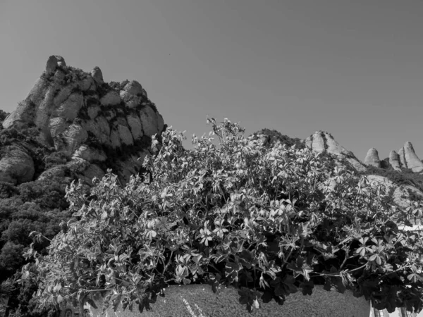 Monastero Montserrat Spagna — Foto Stock