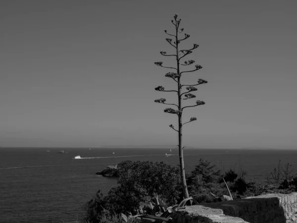 Острів Ібіза — стокове фото