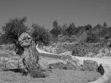 İspanya 'nın İbiza adası