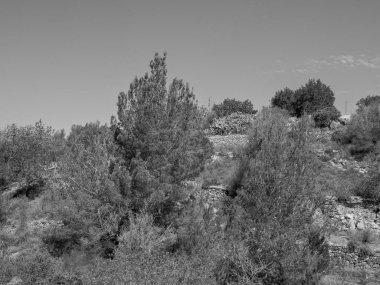 İspanya 'nın İbiza adası