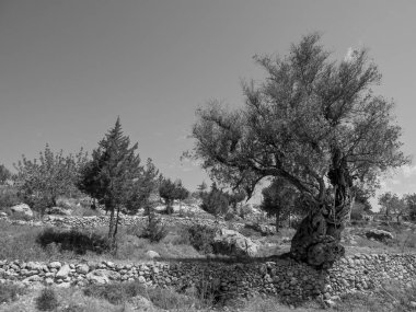 İspanya 'nın İbiza adası