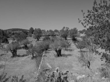 İspanya 'nın İbiza adası