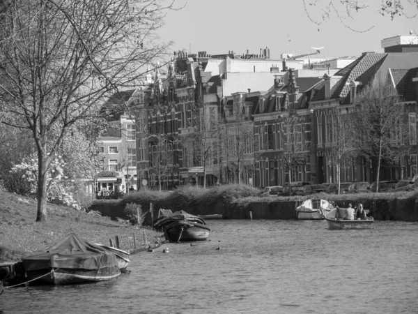 Città Haarlem Nei Paesi Bassi — Foto Stock