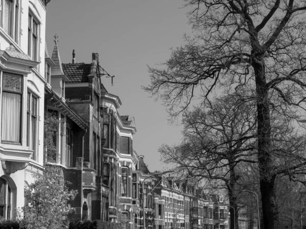 Hollanda Daki Haarlem Şehri — Stok fotoğraf