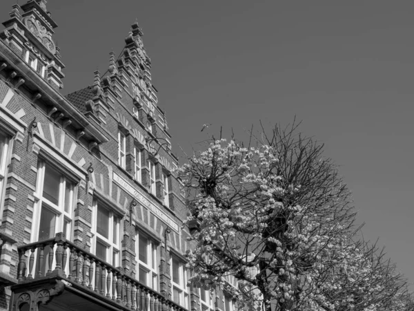 オランダのハーレムの街 — ストック写真