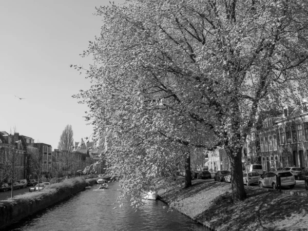 Město Haarlem Nizozemsku — Stock fotografie