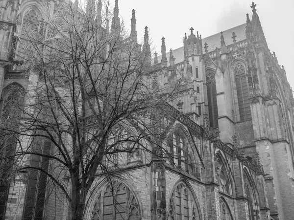 Cidade Utrecht Nas Terras Baixas — Fotografia de Stock