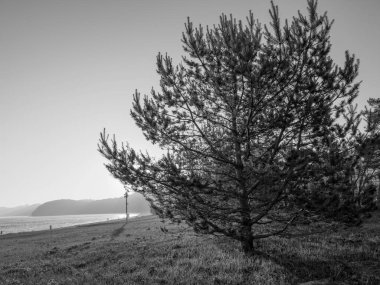 Baltık Denizi 'ndeki Binz plajı