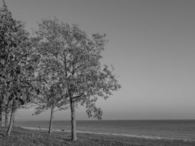 Baltık Denizi 'ndeki Binz plajı