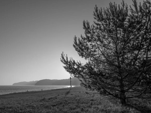 Beach Binz Baltic Sea — Stock Photo, Image