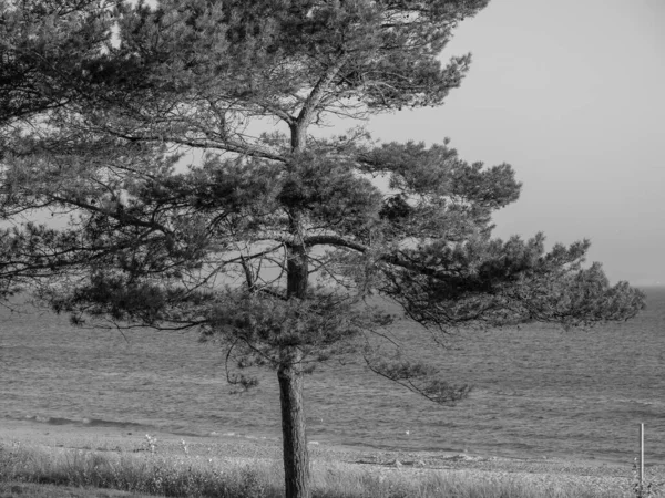 Der Strand Von Binz Der Ostsee — Stockfoto