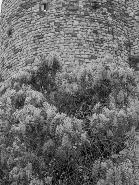 Die Stadt Der Konserven Frankreich — Stockfoto