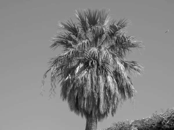 シチリア島のパレルモ — ストック写真