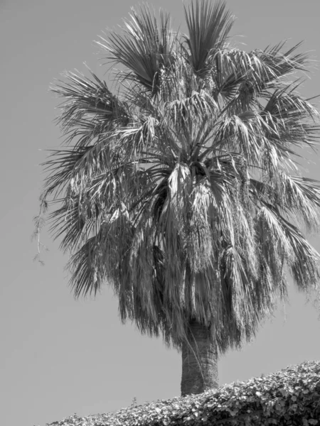 Palermo Sicilien — Stockfoto