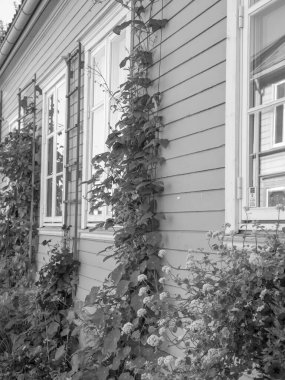 Norveç 'teki trondheim şehrinde.