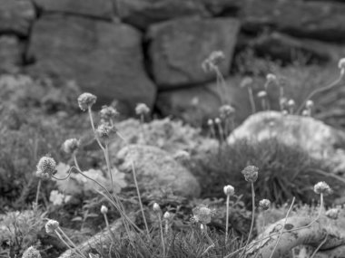 Norveç 'teki eski şehirler