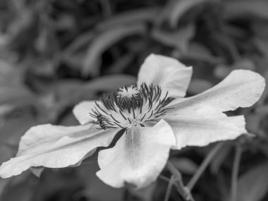 Norveç 'teki eski şehirler