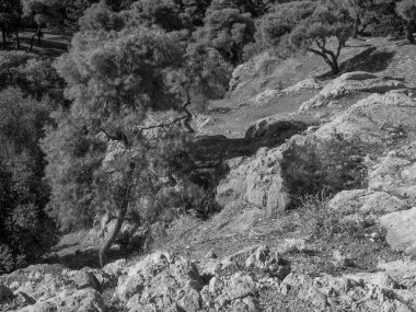 Yunanistan 'ın Atina şehri.