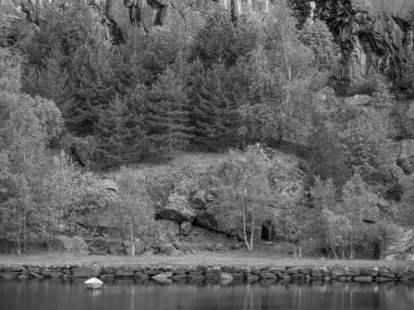 Norveç 'te fiyort gezisi