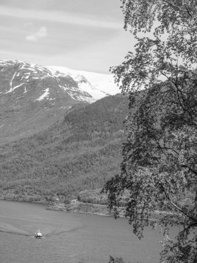 Norveç 'te fiyort gezisi