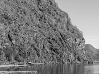 Norveç 'te fiyort gezisi